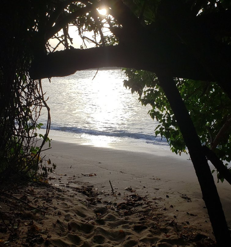 Shoy Beach-圣克鲁斯必去景点