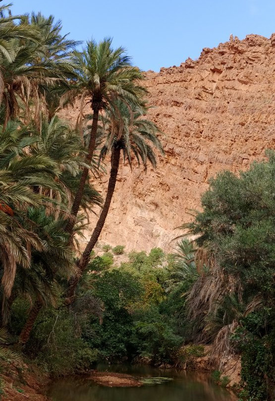 Vallee d'Ait Mansour景点图片