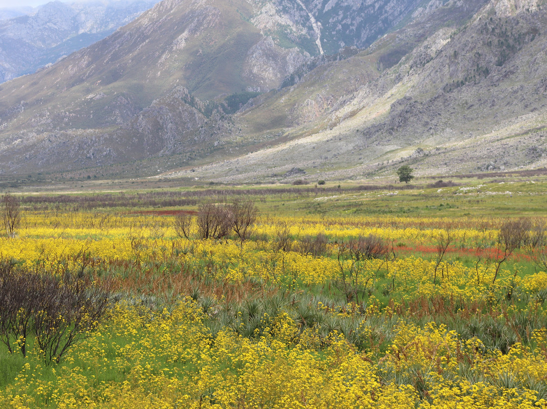 Theewaterskloof Dam景点图片