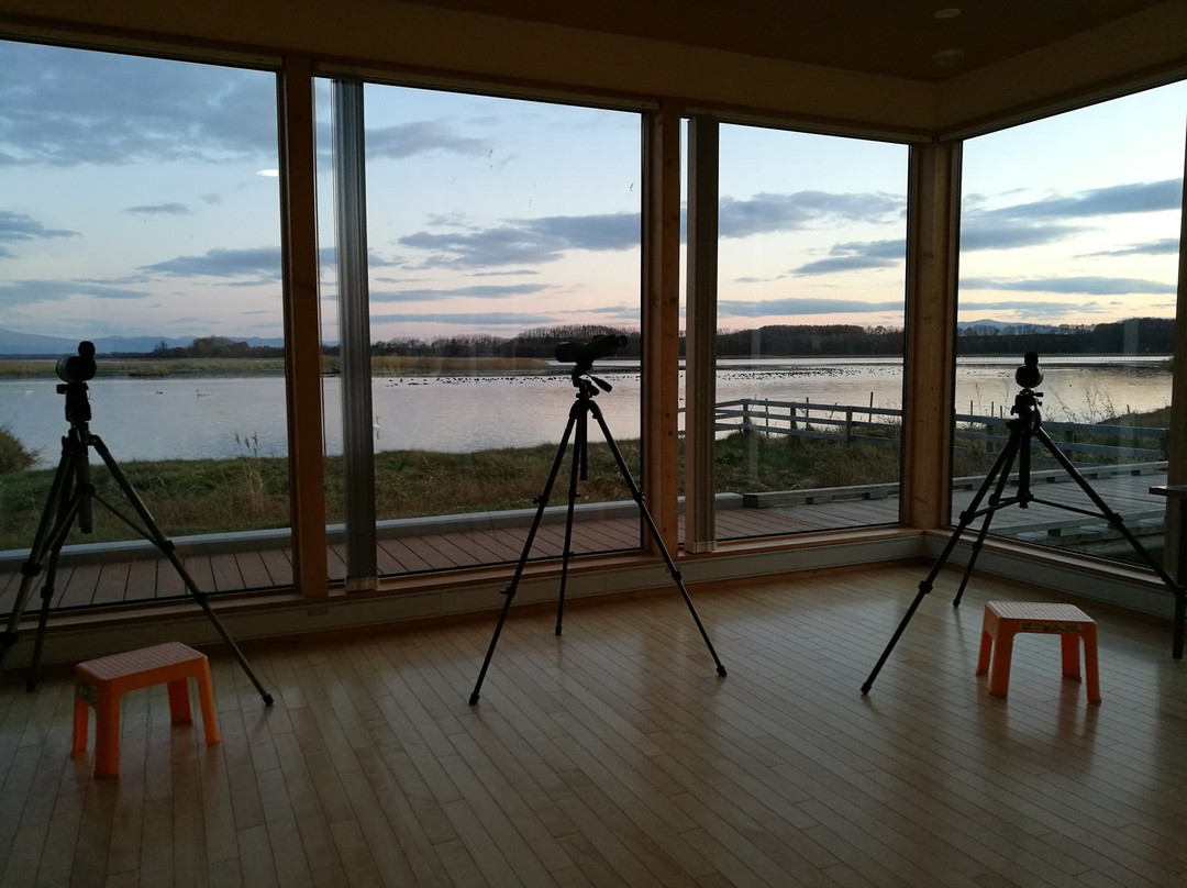 Tofutsu-ko Waterfowl And Wetland Center-网走市必去景点