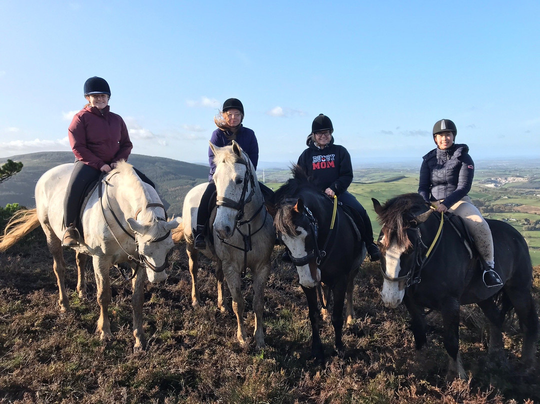 Devil's Bit Pony Trekking-Templemore必去景点