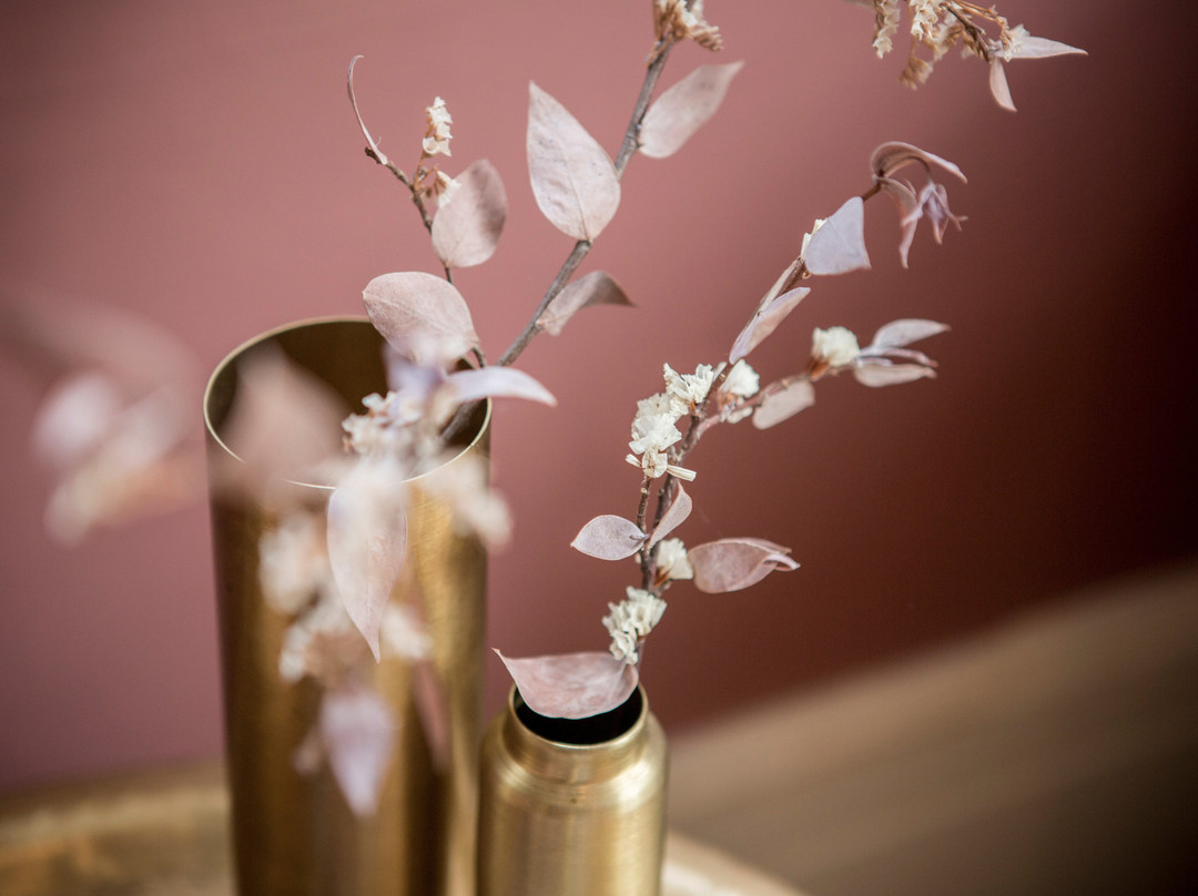 Forme Spa & Wellbeing Remuera景点图片