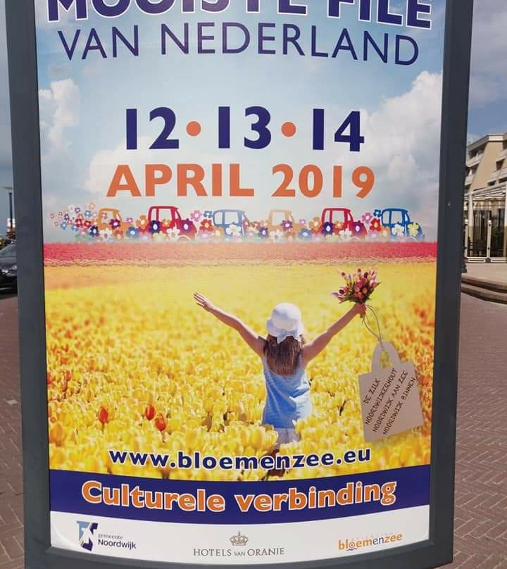 Tulip Tours Holland景点图片