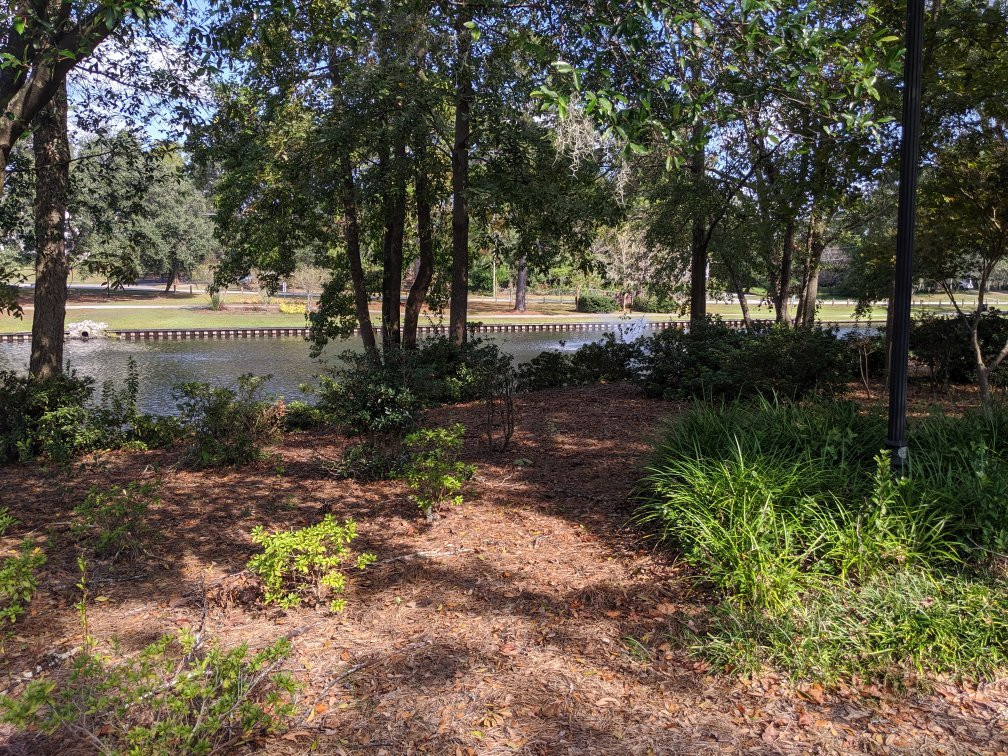 Quarterman Park景点图片