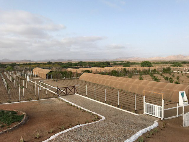 Montrigo Oasi-博阿维斯塔必去景点