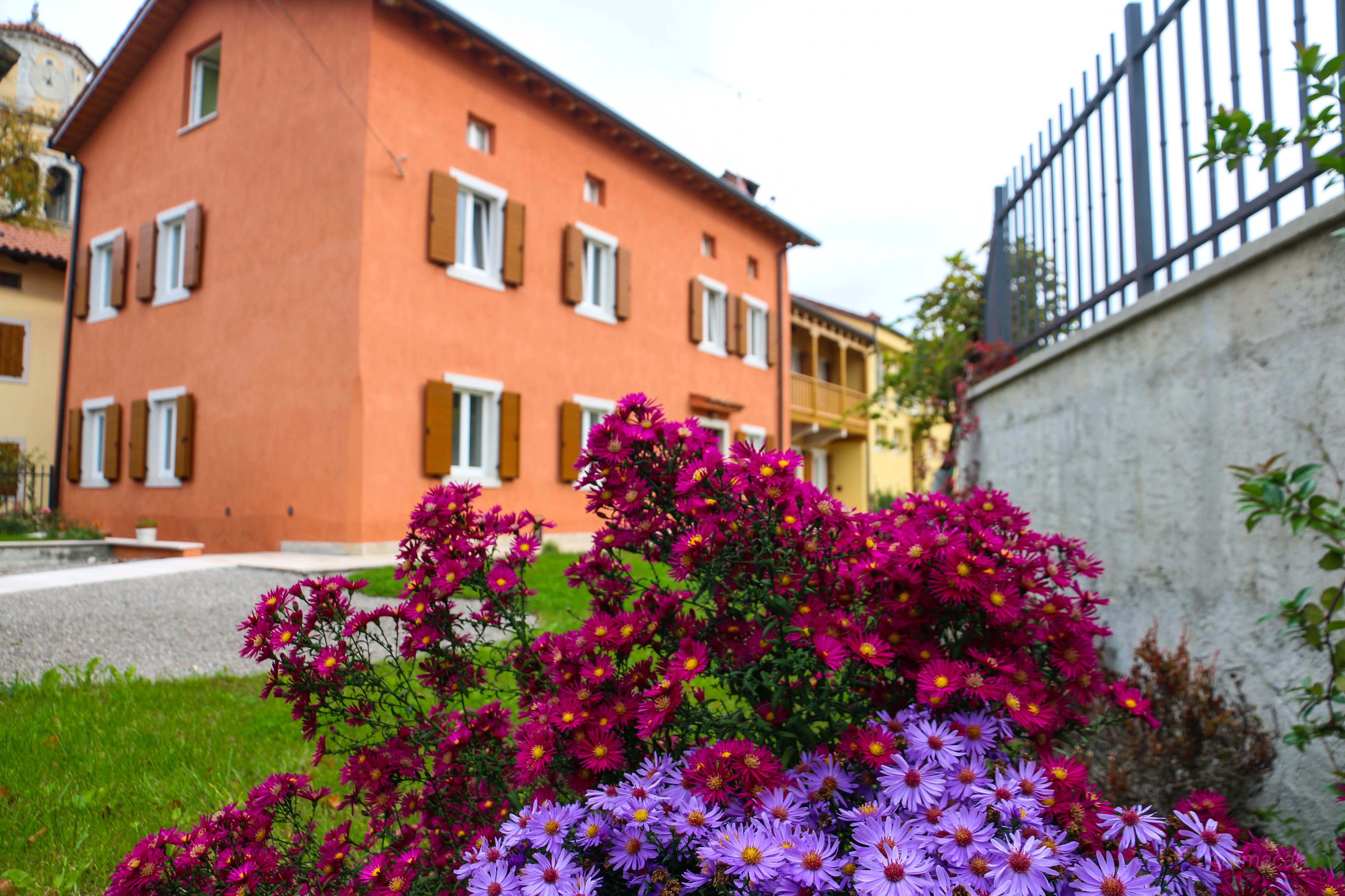Casa Lenka-官方