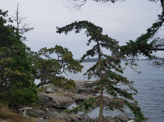 San Juan Kayak Expeditions-星期五港湾必去景点