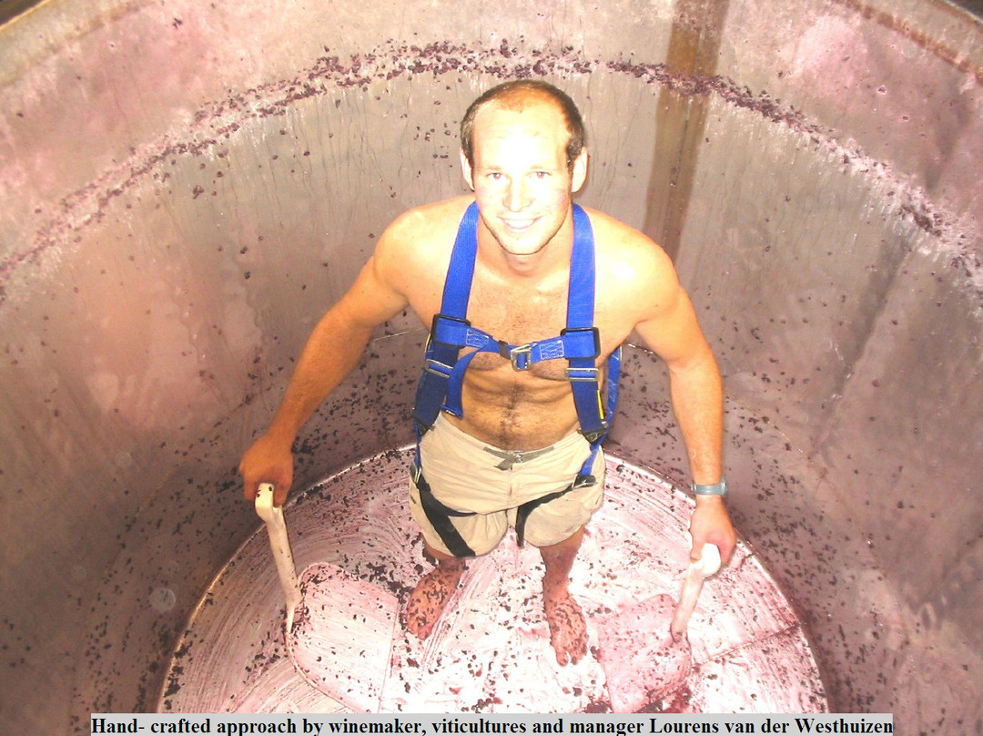 Arendsig Single Vineyard Wines-Bonnievale必去景点