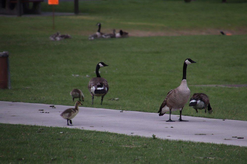 Spring Meadow Lake State Park-赫勒拿必去景点