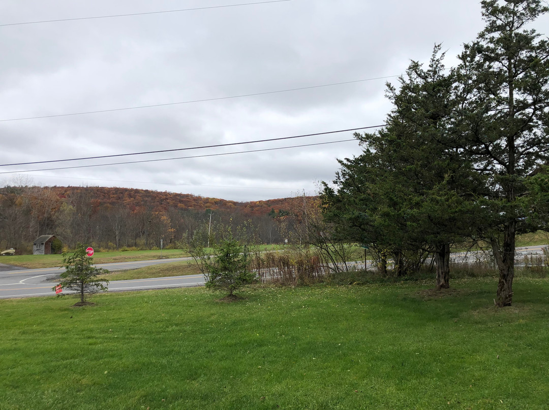 Elm Tree Motel主图