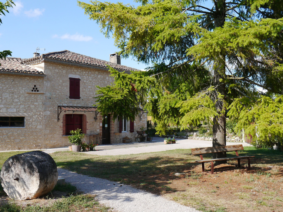 Le Relais D'arzac主图