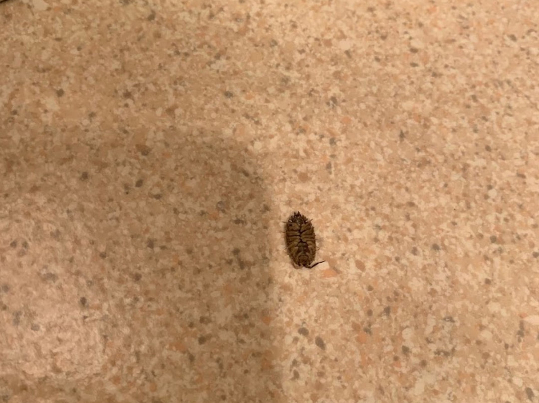 Harbor Inn Motel主图