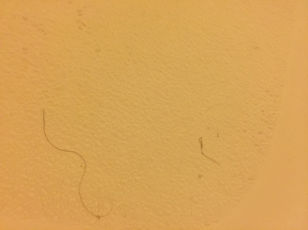 Holiday Inn Express Gloucester主图