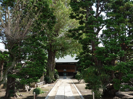 Choryuji Temple-流山市必去景点