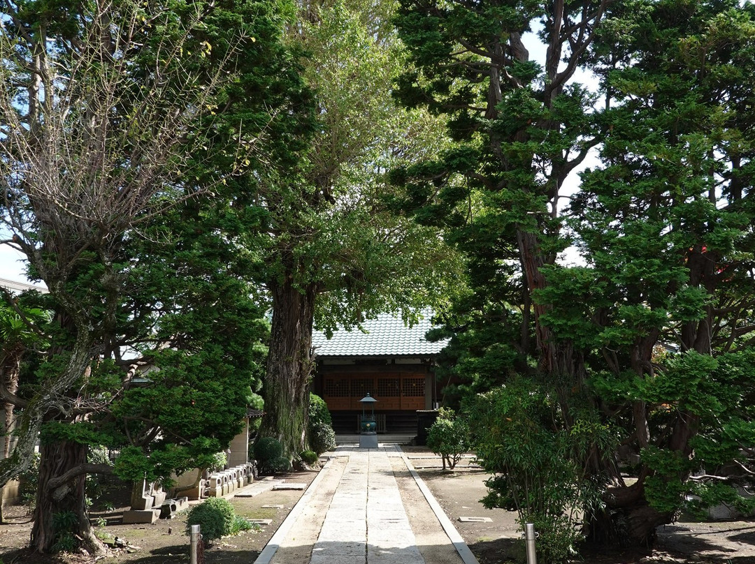 Choryuji Temple景点图片