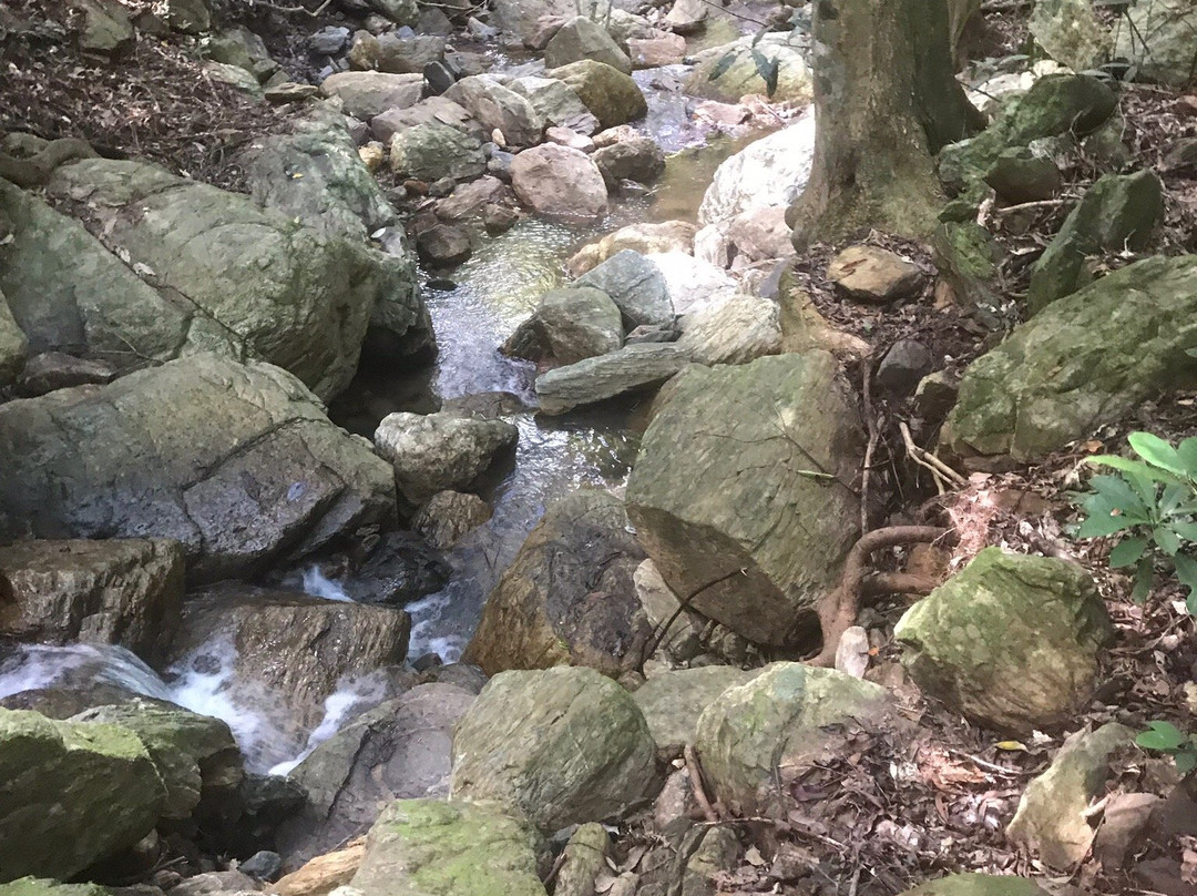 Stoney Creek Trail景点图片