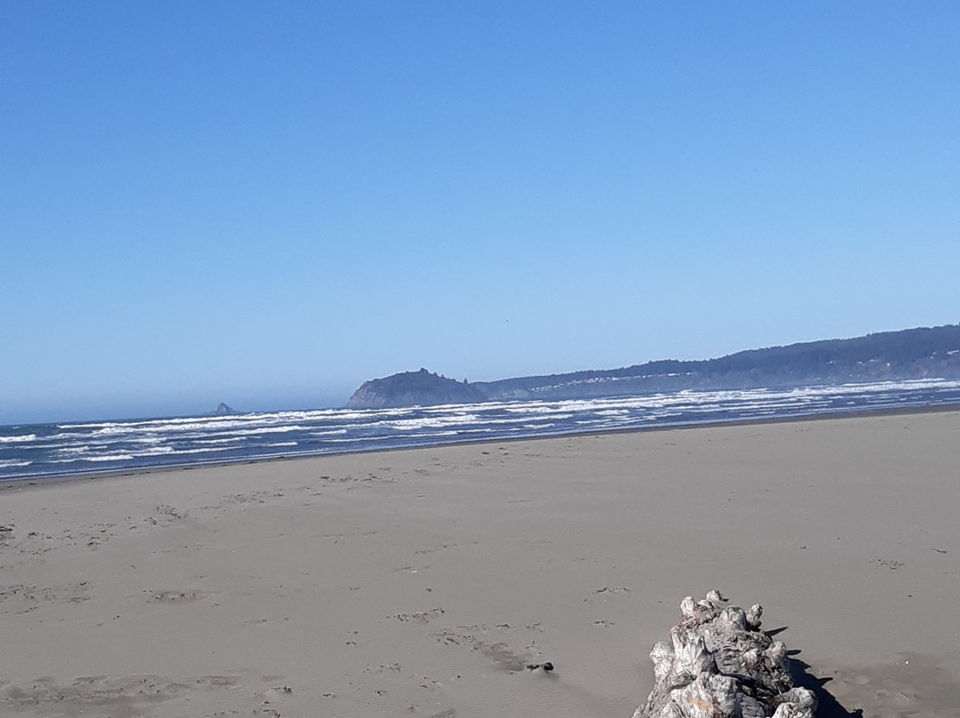 Clam Beach County Park景点图片