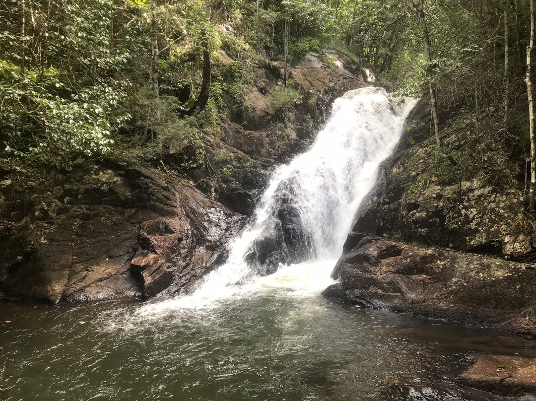 Dinner Falls- 阿瑟顿必去景点