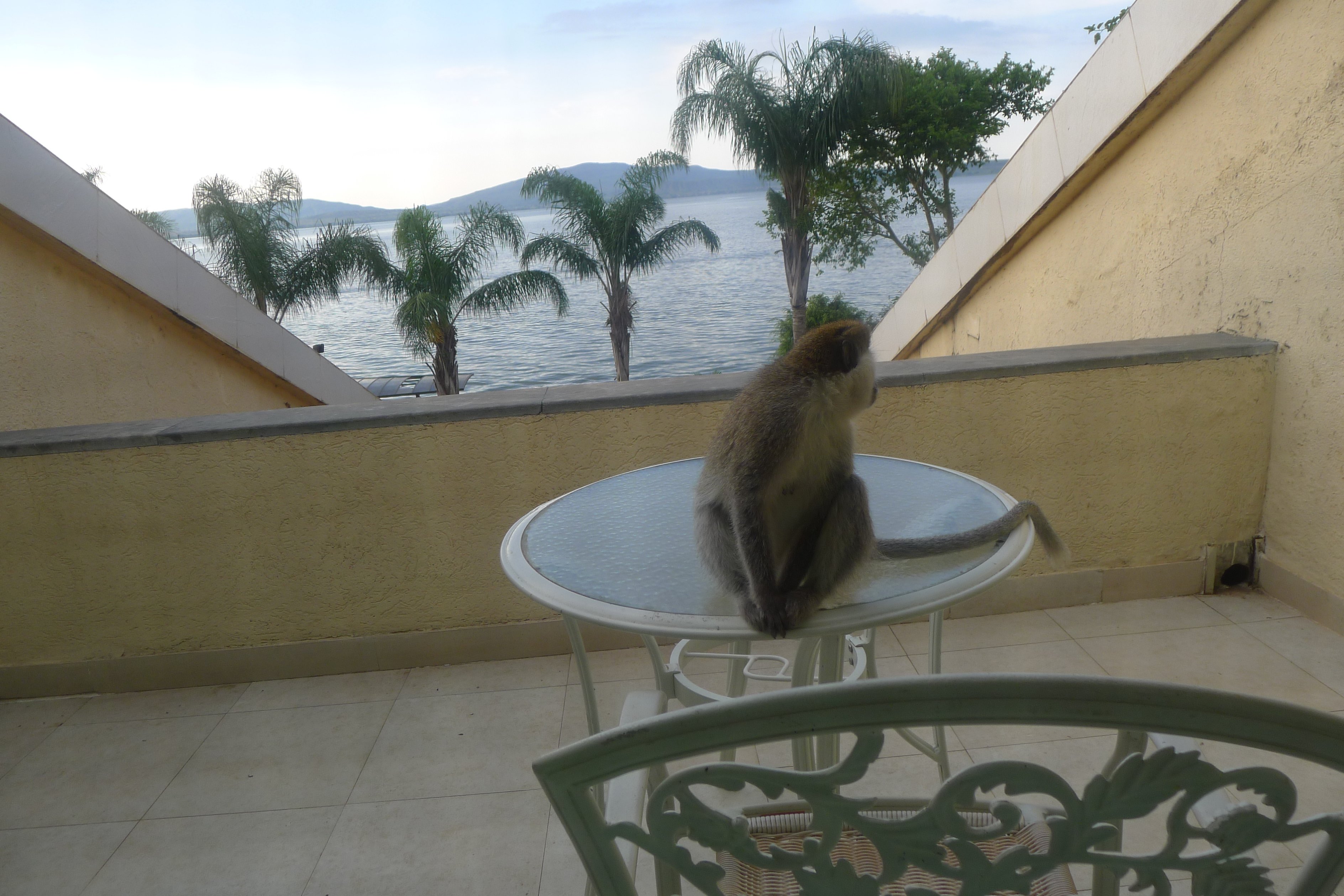 Lewi Hotels & Resorts-酒店景观