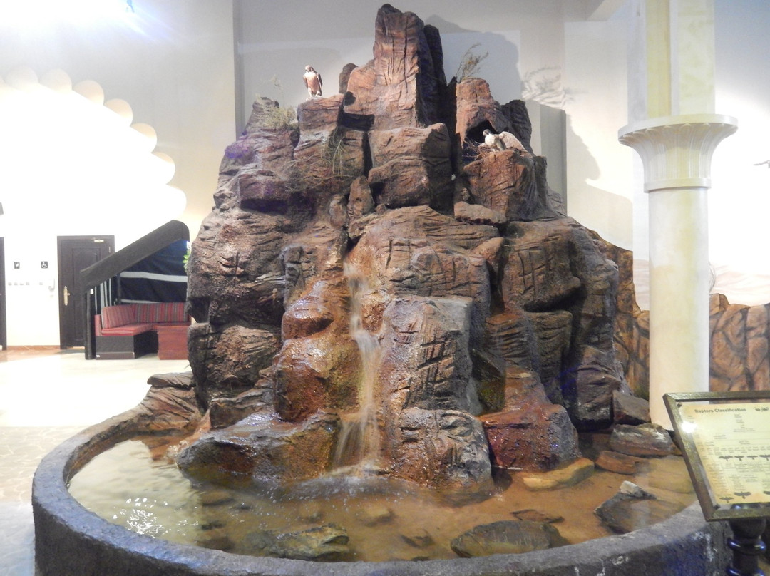 Falcon Museum-迪拜必去景点