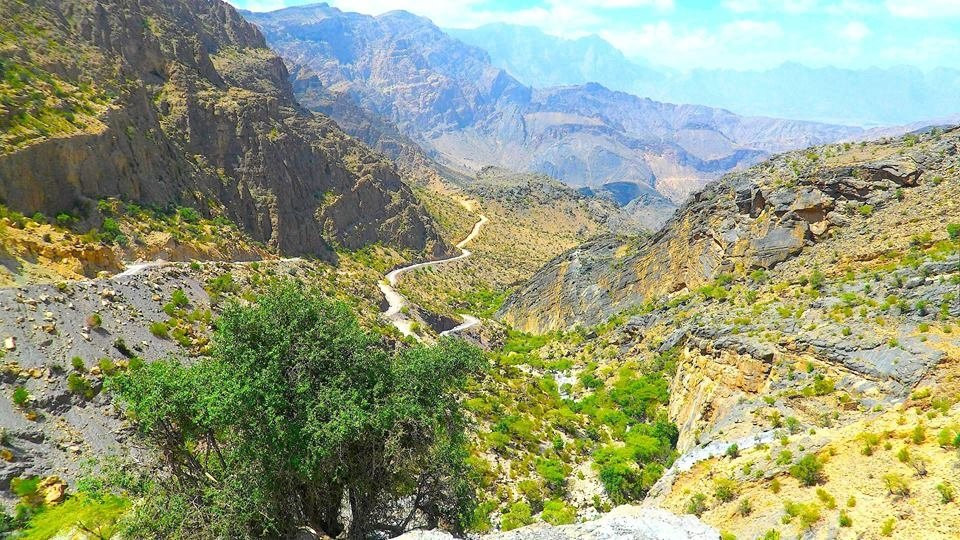 Wadi Al Asami景点图片