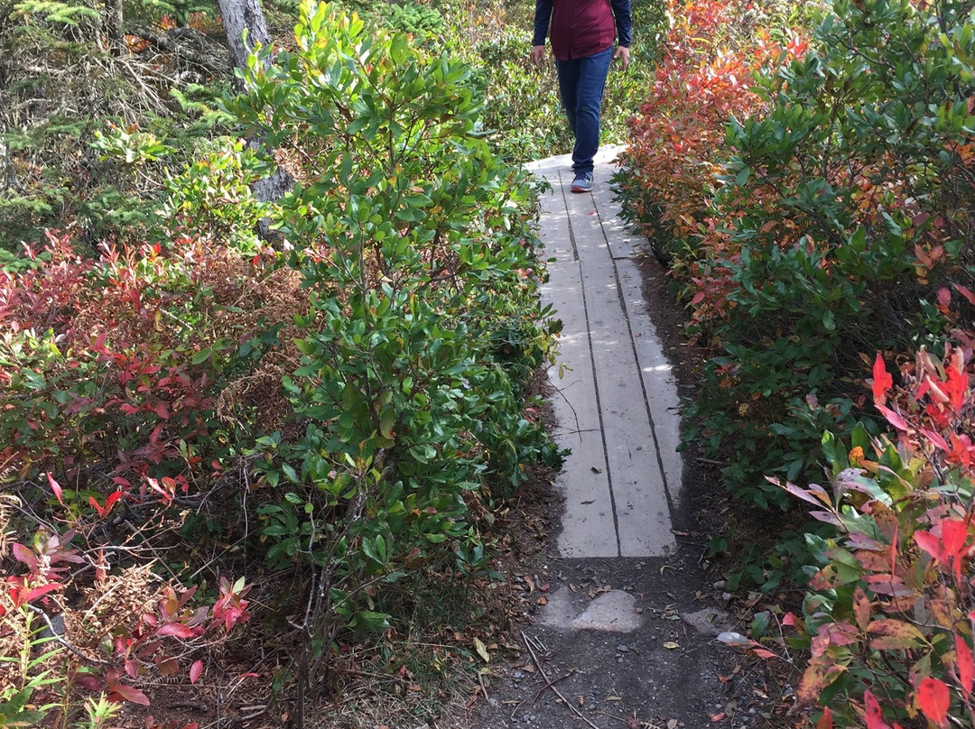 Ship Harbor Nature Trail景点图片