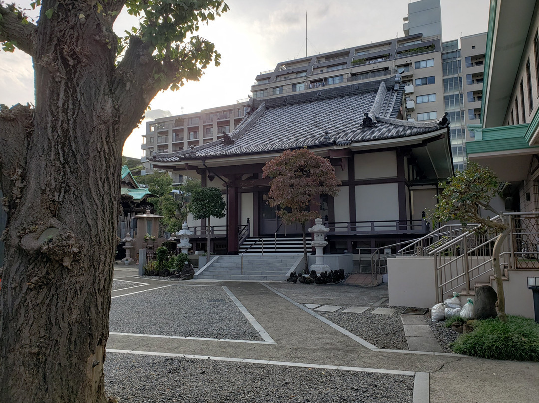 Ryugyo-ji Temple景点图片
