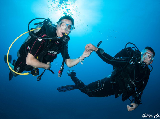 Turtle Dive Center-拉斯特拉纳斯必去景点