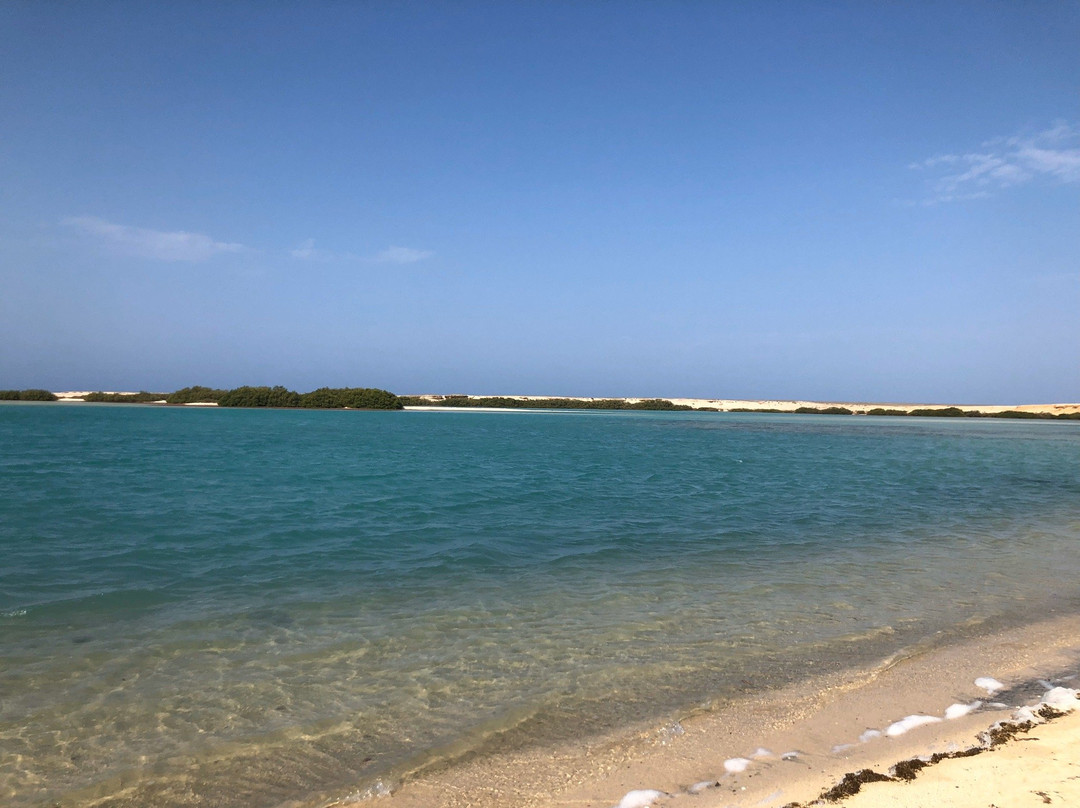 El Qulan Mangrove Forest-马萨阿拉姆必去景点