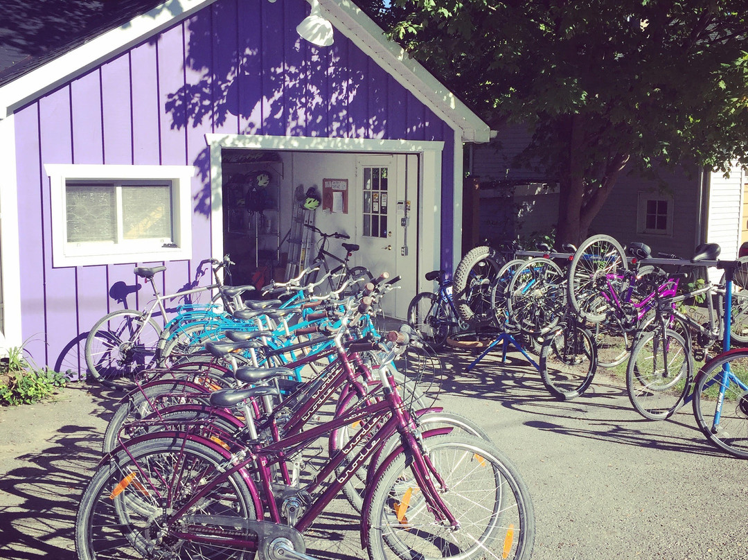 Ideal Bike Wellington景点图片