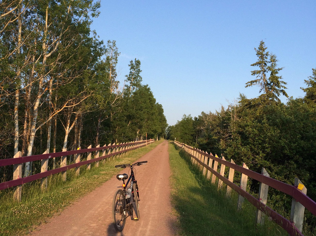 Confederation Trail-爱德华王子岛必去景点