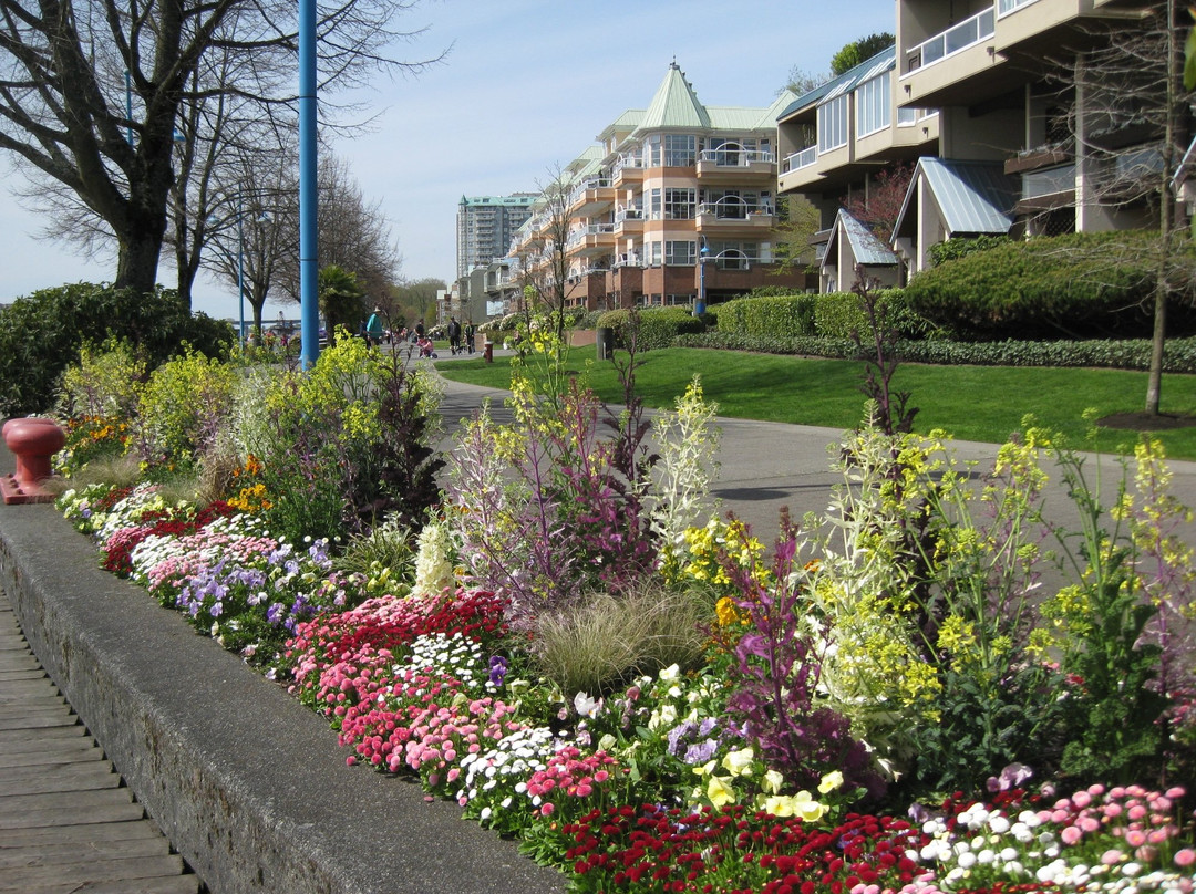 Quayside Esplanade & Boardwalk景点图片