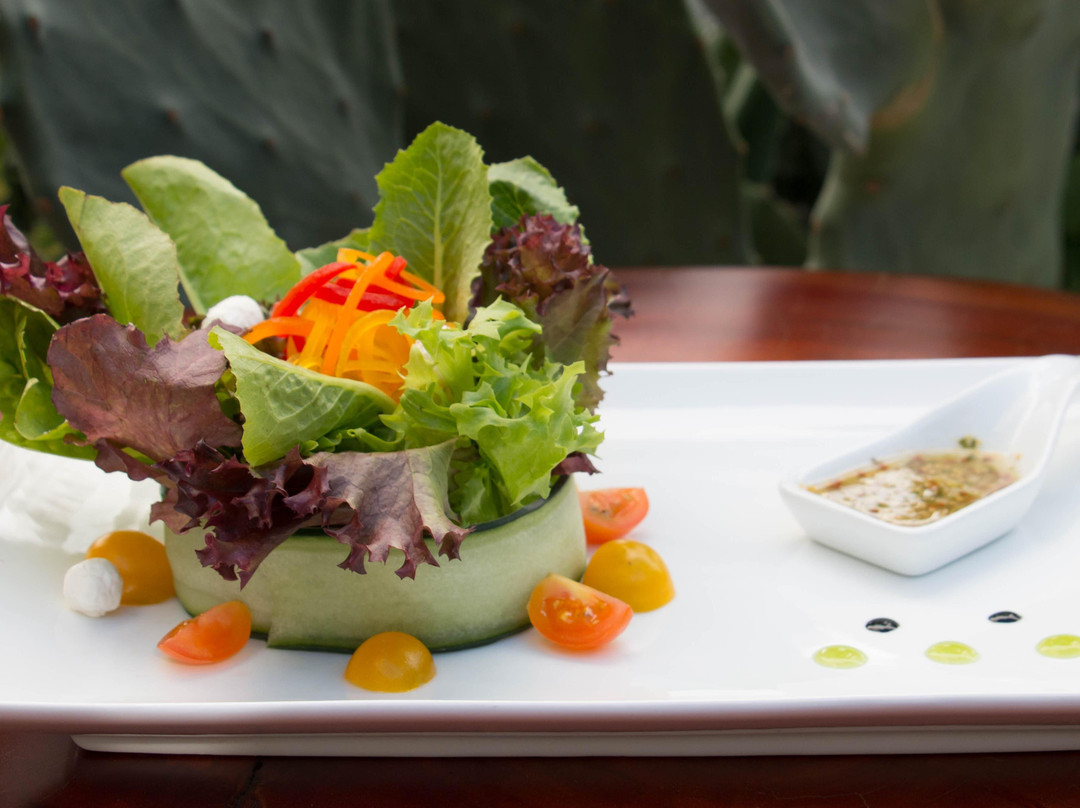 Gourmet Cabo Catering-卡波圣卢卡斯必去景点