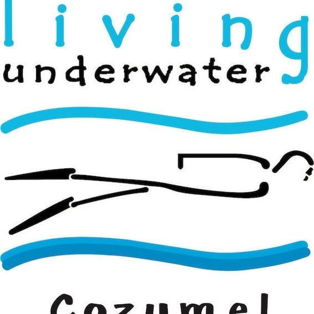 Living Underwater景点图片