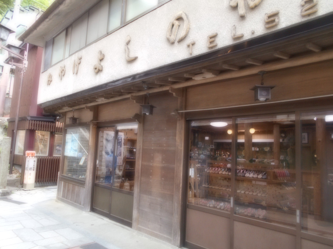 Yoshinoya Bussan-涩川市必去景点