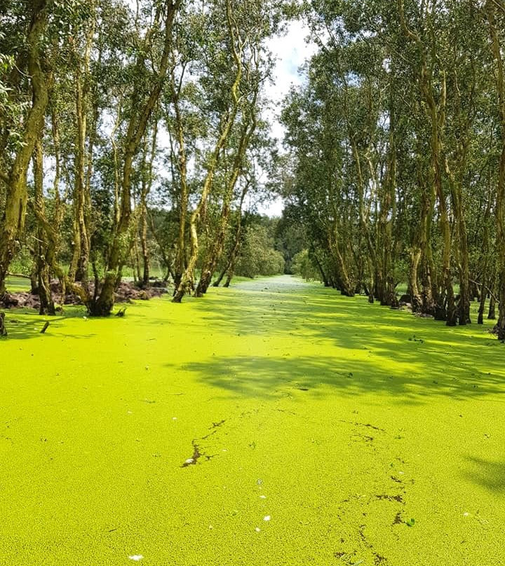 Tra Su Bird Sanctuary-朱笃必去景点