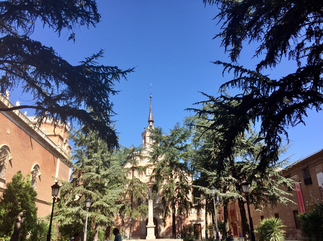 Plaza de las Bernardas-阿尔卡拉-德-哈纳雷斯必去景点