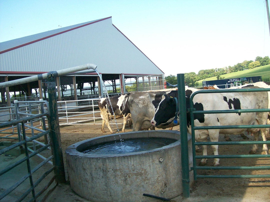 Middletown旅游景点-South Mountain Creamery