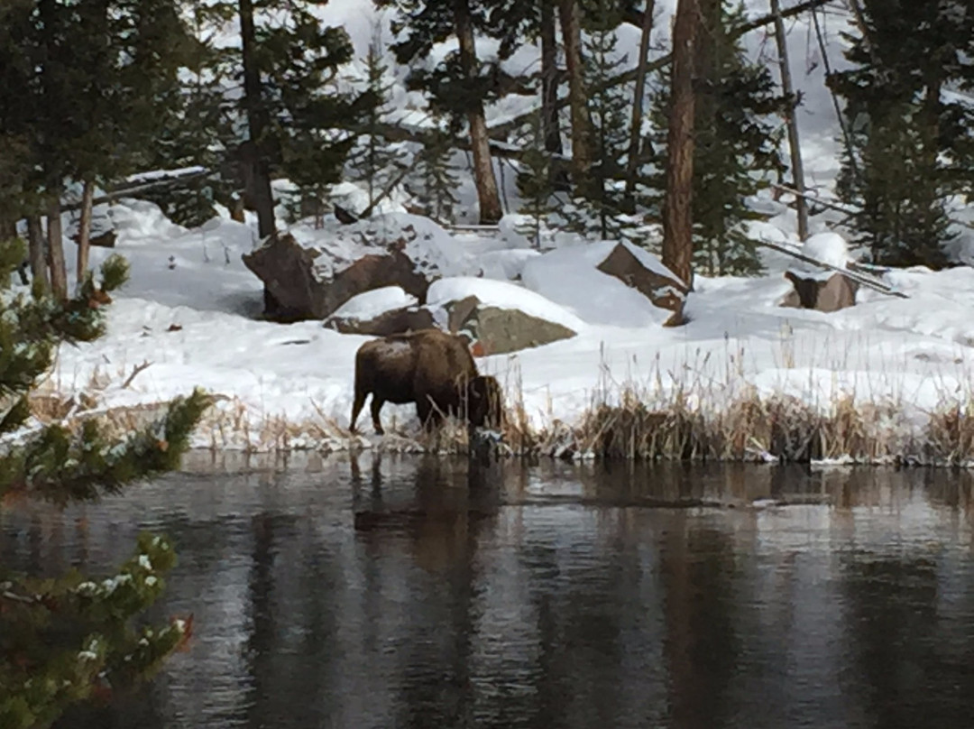 Teton Valley Adventures-德里格斯必去景点
