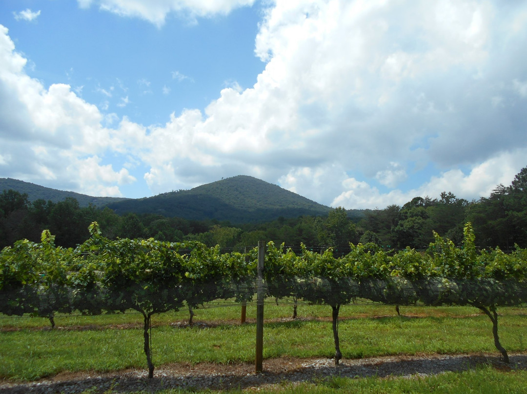 Sharp Mountain Vineyards景点图片