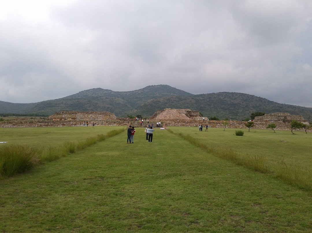 Zona Archeologica Plazuelas景点图片