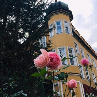 Hotel Schloss Blumenthal主图