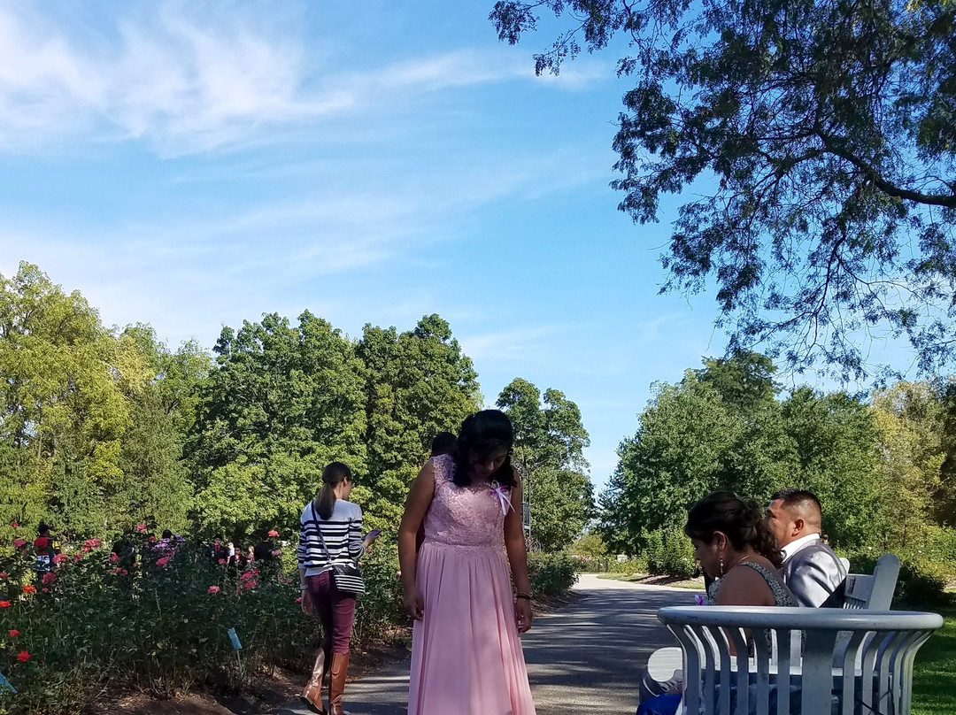 Whetstone Park / Park of Roses-哥伦布必去景点