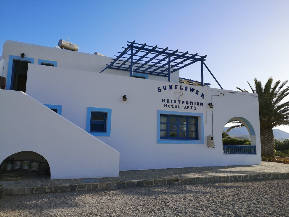 Sunflower Studios主图