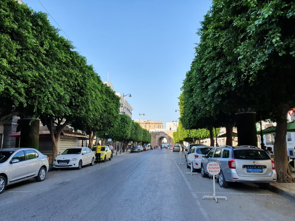 Ave De France-突尼斯必去景点