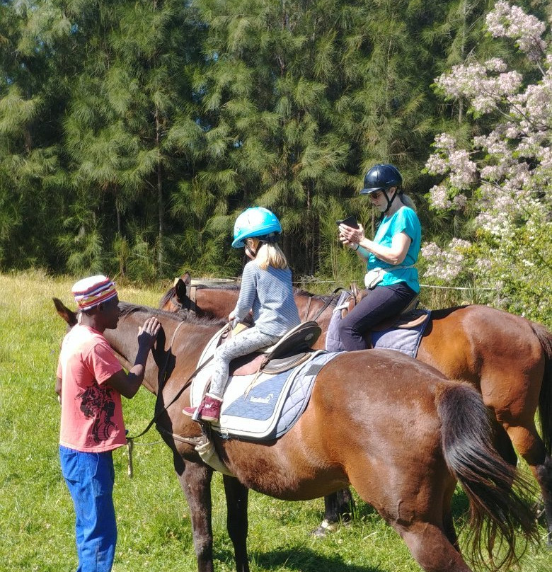 Horse About Trails景点图片