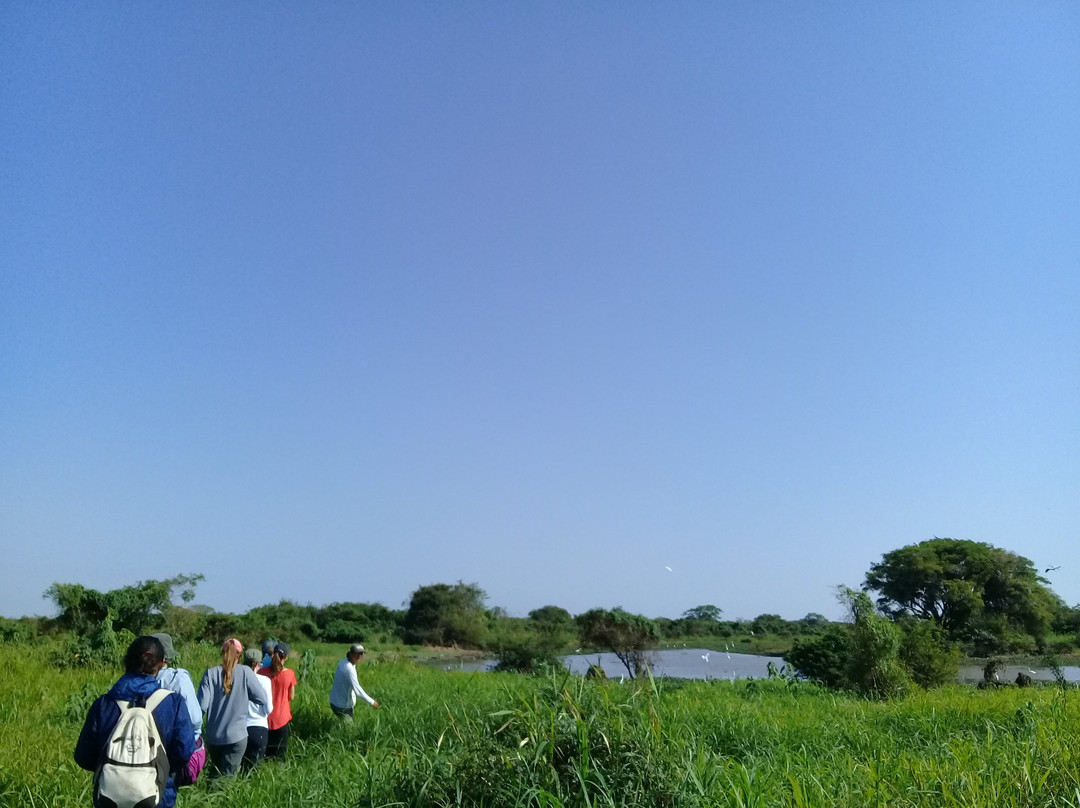 River Yacuma-Rurrenabaque必去景点