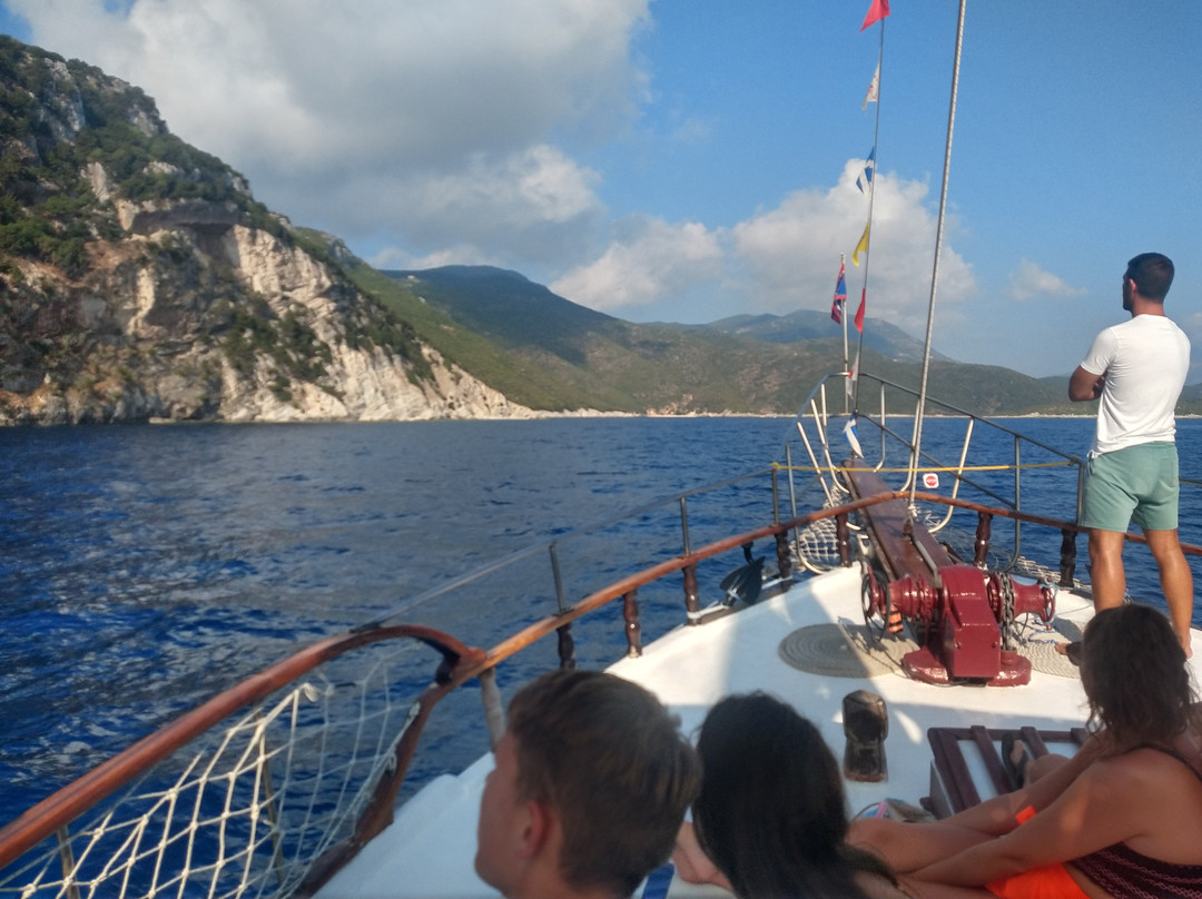 Argo Daily Cruises景点图片