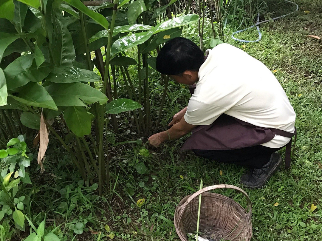 Thai Garden Farm Cooking Classes-讪柿必去景点