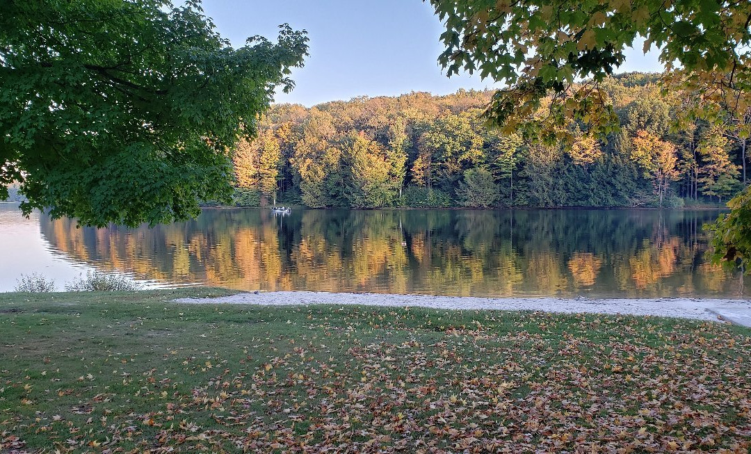 Prince Gallitzin State Park景点图片